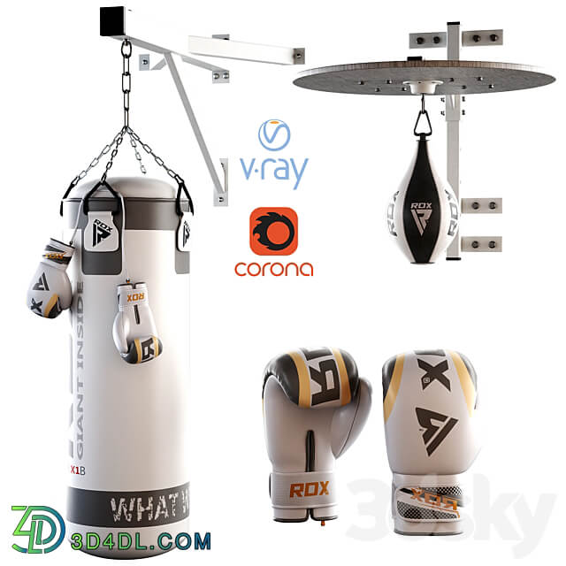 Set Punching bag and gloves from ROX 2 3D Models