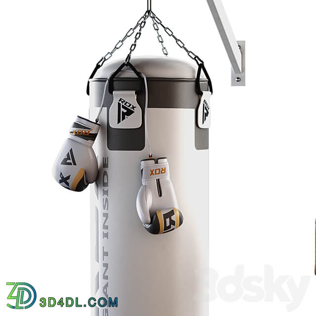 Set Punching bag and gloves from ROX 2 3D Models