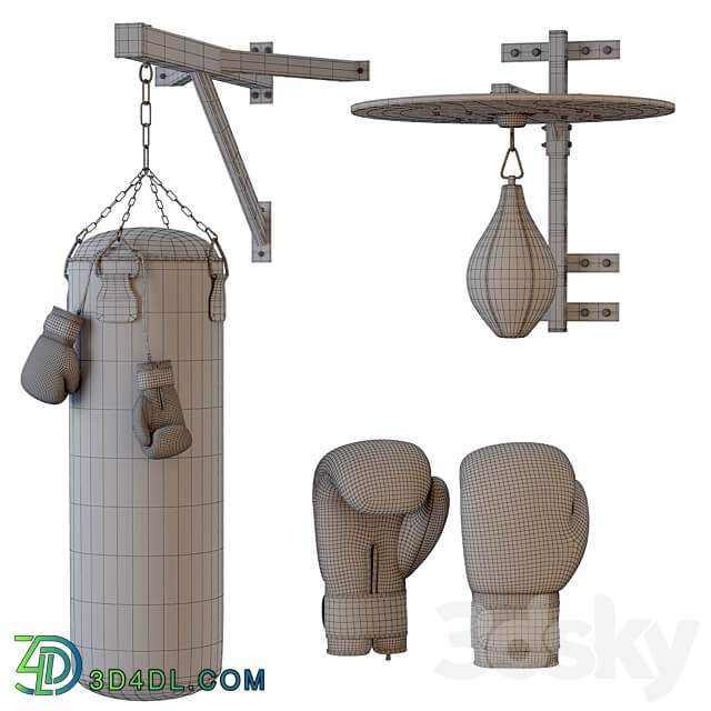 Set Punching bag and gloves from ROX 2 3D Models