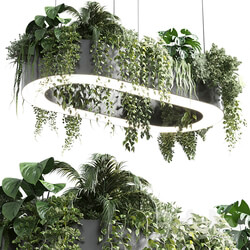 pot light pendant plant light hanging 06 corona Pendant light 3D Models 
