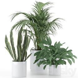 Plant Set 001 3D Models 