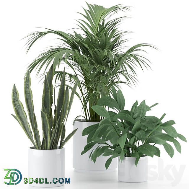 Plant Set 001 3D Models