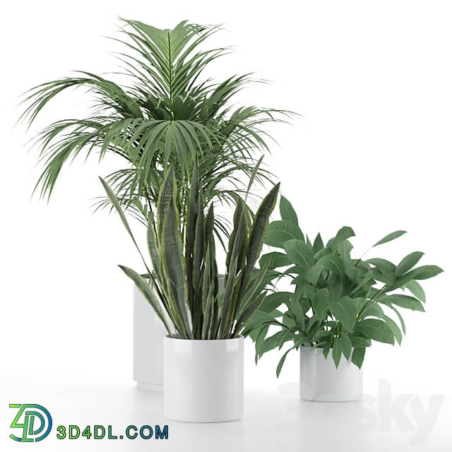 Plant Set 001 3D Models