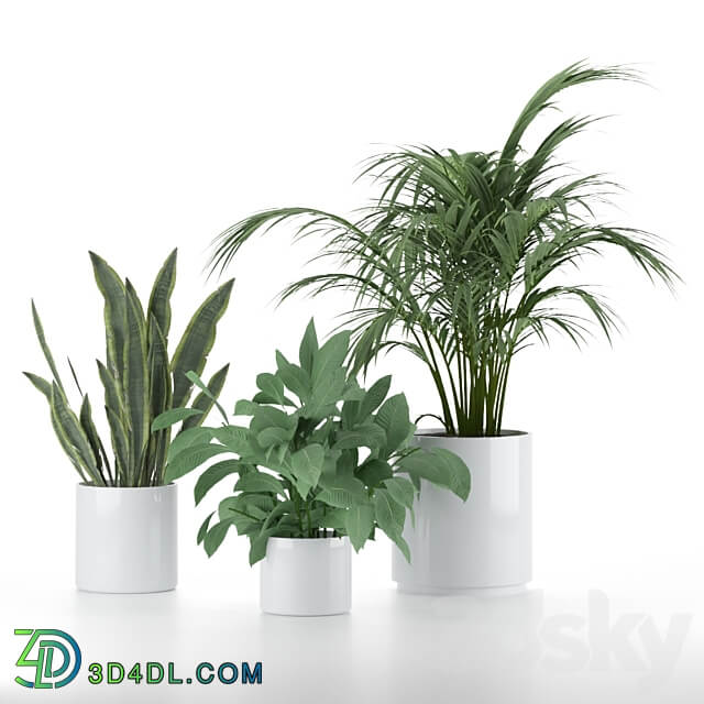 Plant Set 001 3D Models