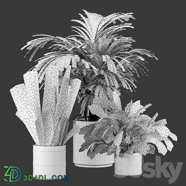 Plant Set 001 3D Models