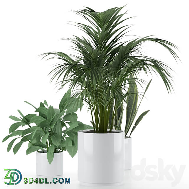 Plant Set 001 3D Models