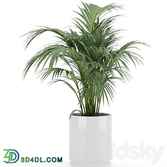 Plant Set 001 3D Models