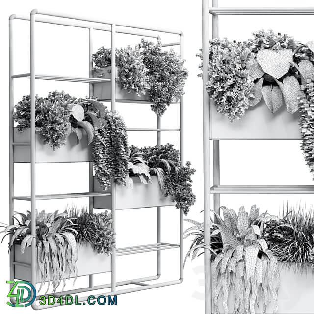 stand plant box collection Indoor plant 254 metal vase pot fern grass 3D Models