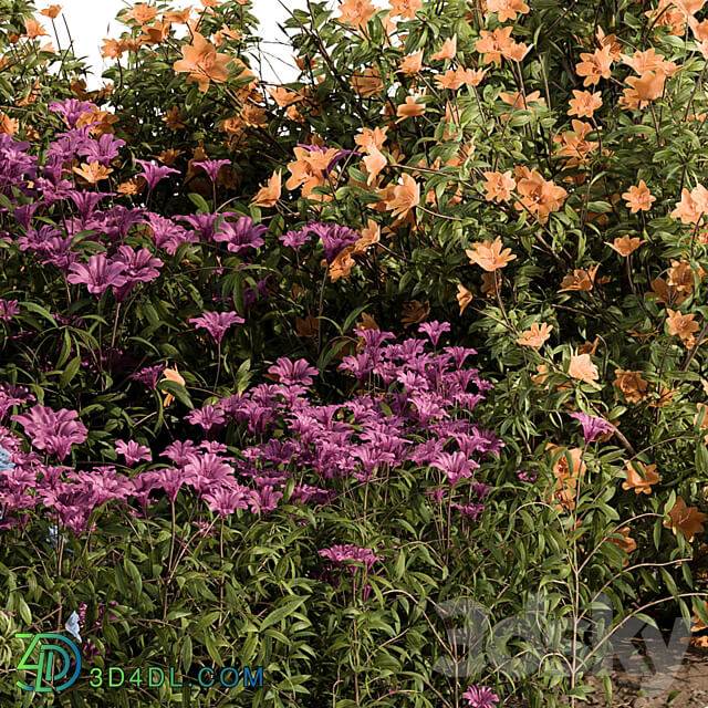 Garden Set colorful Flower Bush Outdoor Plants Set 424 3D Models