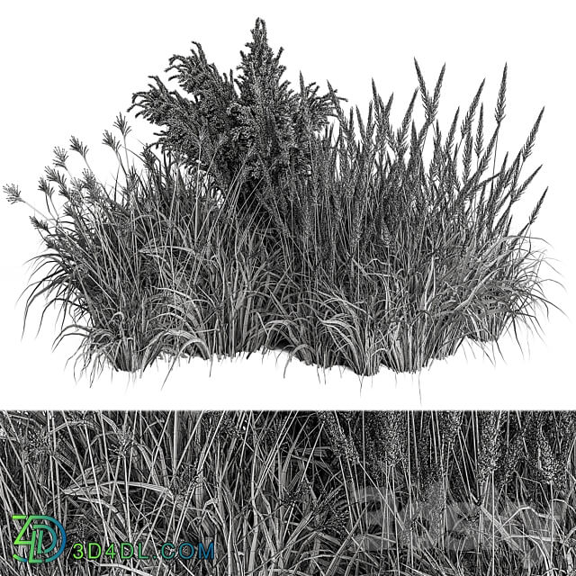 Pampas Plant Bush Set 96 3D Models