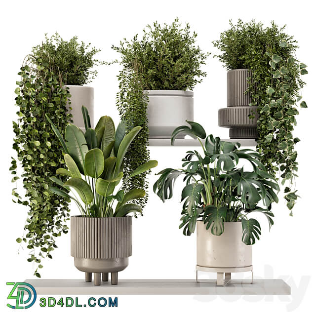 Indoor Hanging Plants in rusty Concrete Pot Set 909 3D Models