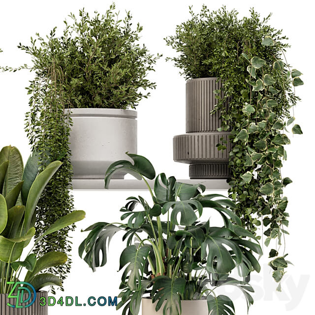 Indoor Hanging Plants in rusty Concrete Pot Set 909 3D Models