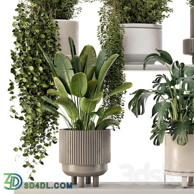 Indoor Hanging Plants in rusty Concrete Pot Set 909 3D Models