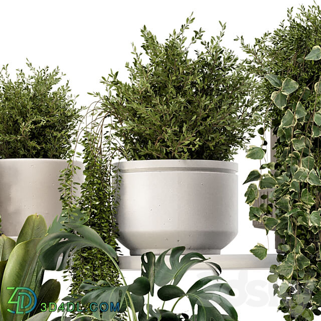 Indoor Hanging Plants in rusty Concrete Pot Set 909 3D Models