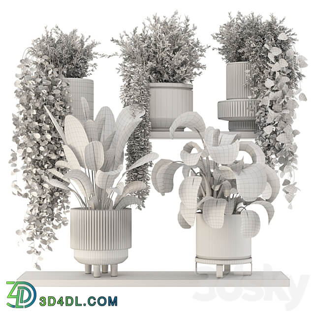 Indoor Hanging Plants in rusty Concrete Pot Set 909 3D Models