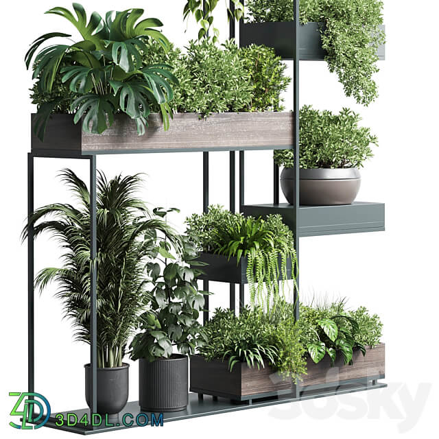 Standing metal shelf with a set of plants in wooden and metal boxes 267 3D Models