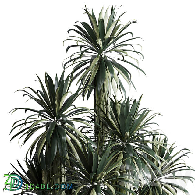 palm plant in concrete dirt vase Indoor plant 275 3D Models
