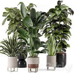 Indoor Plants in Ferm Living Bau Pot Large Set 983 3D Models 