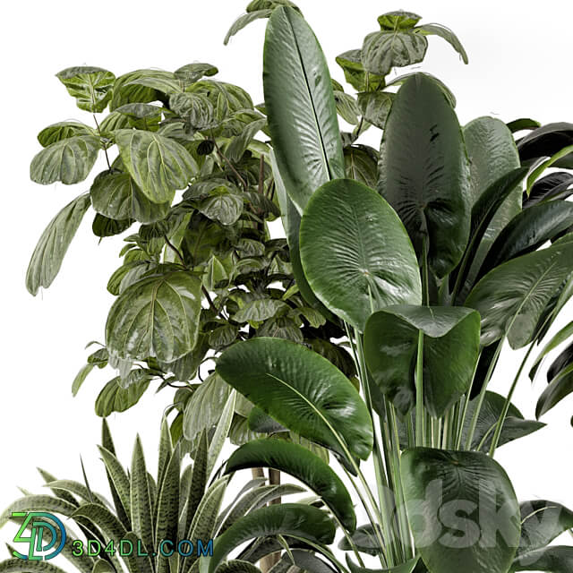 Indoor Plants in Ferm Living Bau Pot Large Set 983 3D Models