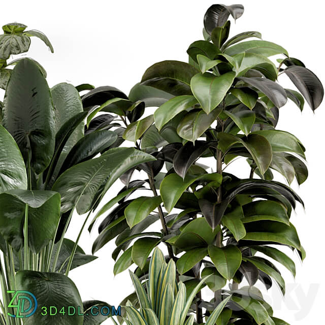 Indoor Plants in Ferm Living Bau Pot Large Set 983 3D Models