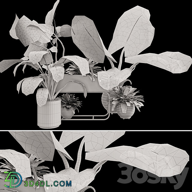 Plant Collection Set 07 3D Models
