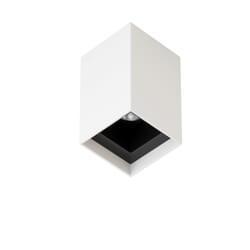 Dimensiva Bitpop C 1 0 Recessed Downlight by Luce Light 