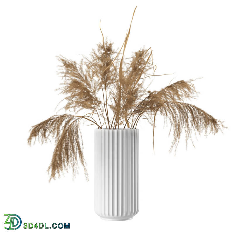Dimensiva White Lyngby Vase 25 cm with Dried Pampas by Lyngby Porcelaen