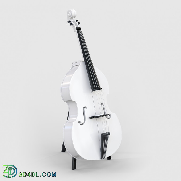 ModeneseGastone 13614 DoubleBass