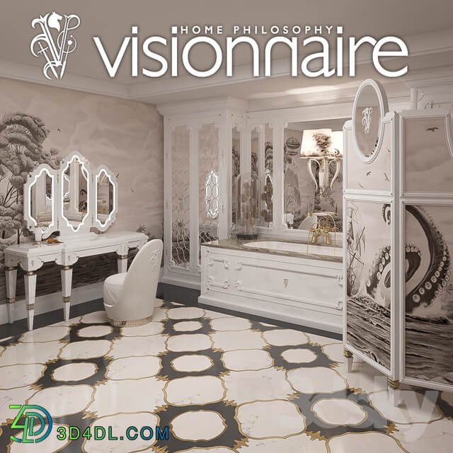 visionnaire