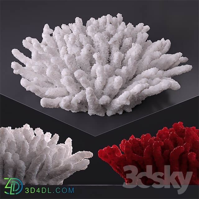 Other decorative objects Decorative coral