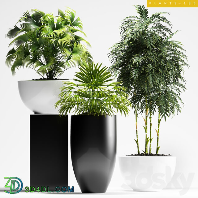 PLANTS 195 3D Models