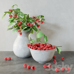 Raspberries 3D Models 