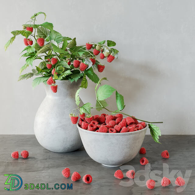 Raspberries 3D Models