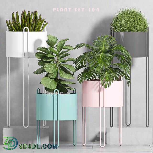 PLANT SET 104