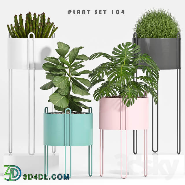 PLANT SET 104