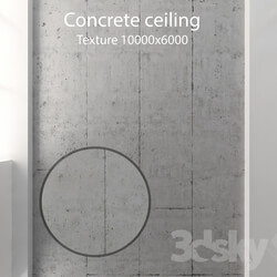 Miscellaneous Concrete ceiling 58 