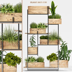 Plant set 118 