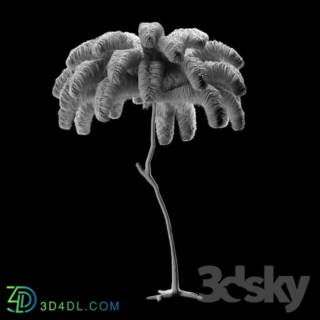 Other decorative objects Scenery from ostrich feathers