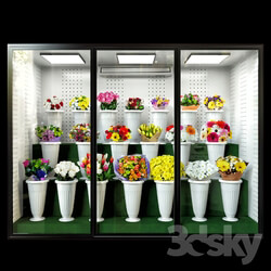 Refrigerated display for flowers 