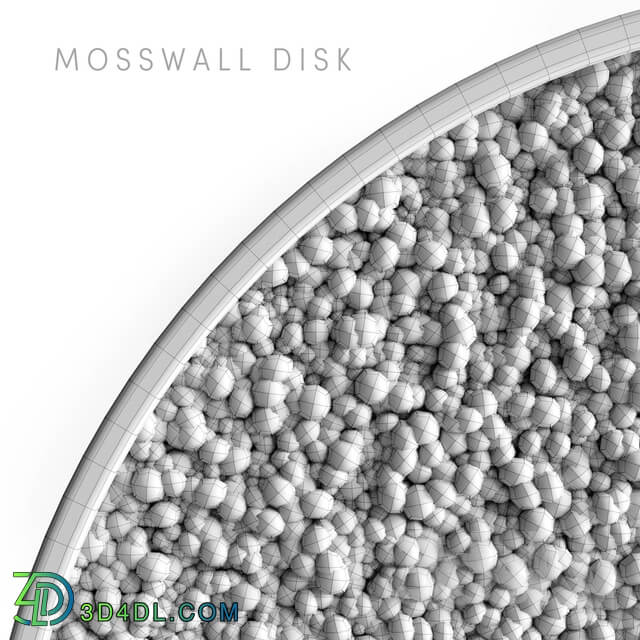 Fitowall Mosswall disk 2