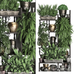 Plant Collection 368. Flower shelf fern monstera flowerpot greenery vertical garden phytowall phytomodule pots eco design 3D Models 