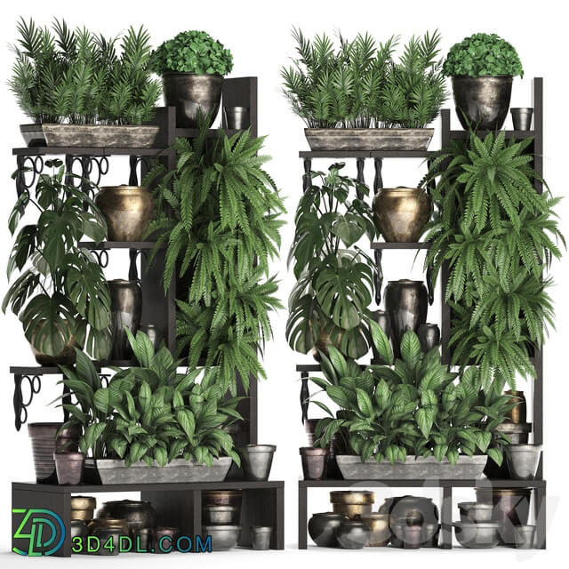 Plant Collection 368. Flower shelf fern monstera flowerpot greenery vertical garden phytowall phytomodule pots eco design 3D Models