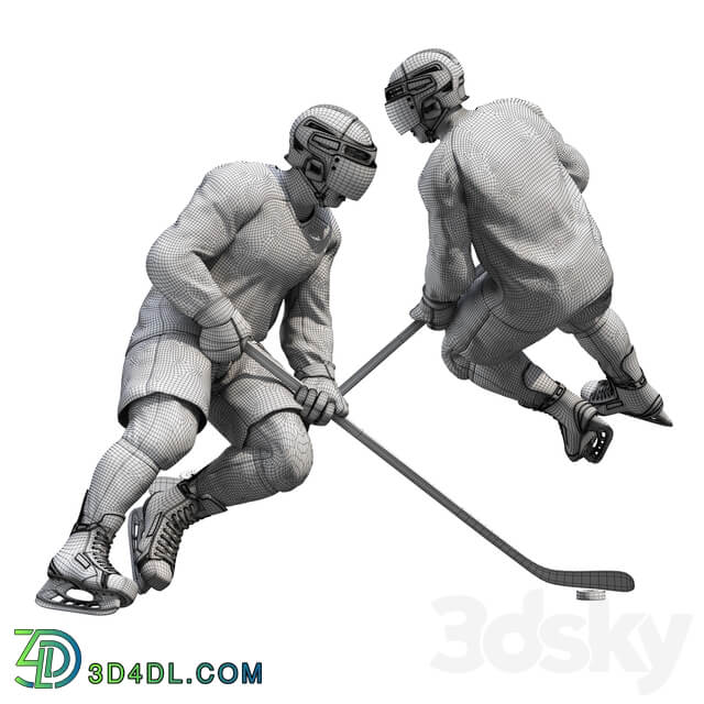 Hockey player. Position 1