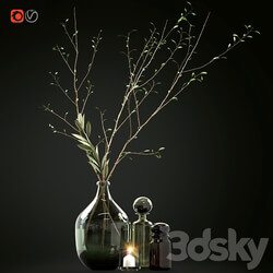 Decorative set with branches and glass bottles 