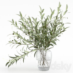 Olive branches in a vase 