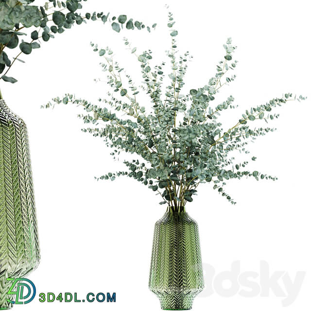 Eucalyptus branches in a green vase
