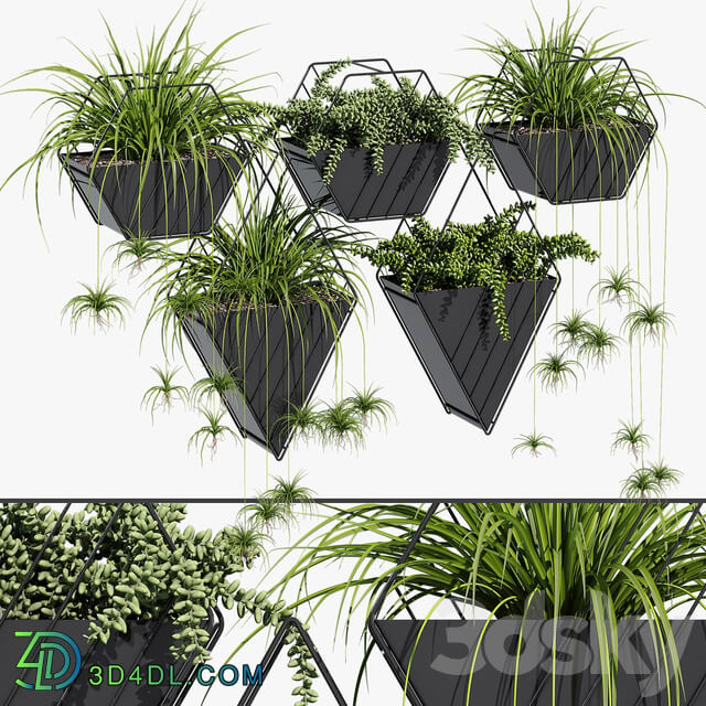 Fitowall Tulan hanging planter