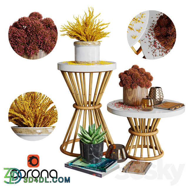 Aloysia Rattan decorative set