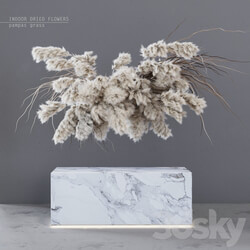 Other decorative objects INDOOR DRIED FLOWERS pampas grass 