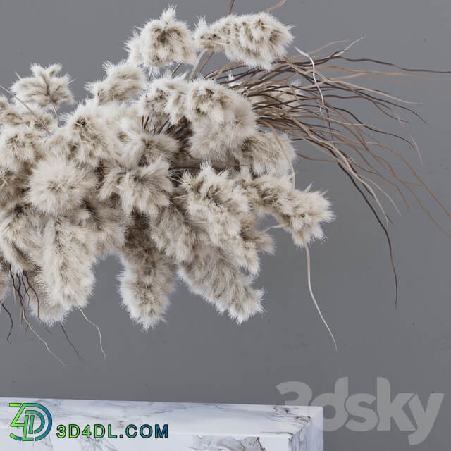 Other decorative objects INDOOR DRIED FLOWERS pampas grass